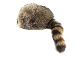 Real Davy Crockett Hat davy crockett hats, raccoon fur hats