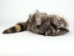 Real Davy Crockett Hat with Face - 343-301-220 (Y2NRG)
