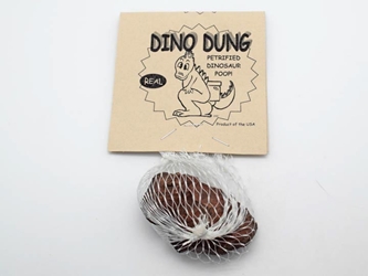 Real Dinosaur Dung: Rough 