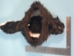 Imitation Skunk Hat with Face: Adult Medium: 24" - 346-FF-AM (Y1KC05)