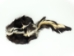 Real Skunk Fur Hat - 346-R-KM (Y1KC01)
