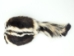 Real Skunk Fur with Face Hat - 346-RF-AL (Y1KC04)