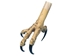Realistic Partially Open Eagle Foot - 357-01