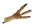 Realistic Spread Eagle Foot - 357-02 (Y1XC03)(Y1FRI)