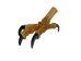 Realistic Spread Eagle Foot - 357-02 (Y1XC03)(Y1FRI)
