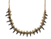 Real Iroquois Coyote Claw Necklace: 20-Claw - 368-620 (Y2HC14)