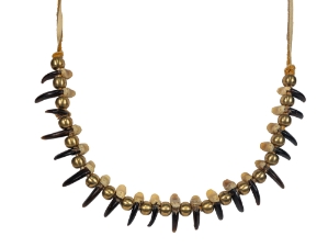 Real Iroquois Coyote Claw Necklace: 20-Claw 