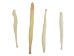 Coyote Baculum - 378-04 (Y2L)