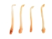 Badger Baculum - 378-06 (Y2L)