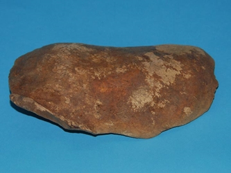 Fossil Walrus Cheek Plate (lb) 