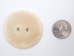 Palm-Cut 2-Hole Moose Antler Button: 2.0" - 38-P2-2.0 (Y2HC10)