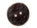 Palm-Cut 2-Hole Moose Antler Button: 2.0" - 38-P2-2.0 (Y2HC10)
