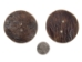 Palm-Cut 2-Hole Moose Antler Button: 2.5" - 38-P2-2.5 (Y2HC10)