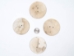Palm-Cut 2-Hole Moose Antler Button: 3.0" - 38-P2-3.0 (Y2HC11)