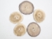 Cross-Cut 2-Hole Moose Antler Button: 2.0-2.5" - 38-R-2.0 (Y2LC05)