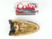 Alligator Head: 6-7": Assorted - 381-10-67 (Y3KRH)
