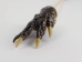 Alligator Foot Backscratcher - 381-15 (Y2O)