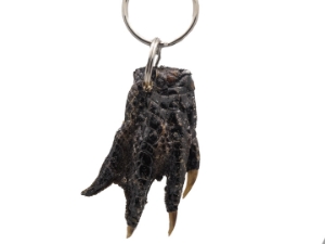 Alligator Foot Keychain 