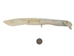 Alligator Jaw Bone Knife: Large - 381-60L-AS (Y1M)