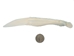 Alligator Jaw Bone Knife: Small - 381-60S-AS (P7)