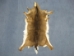 White Tail Deer Hide with Tail: #1: Assorted - 39-01T-AS (Y1HRG)
