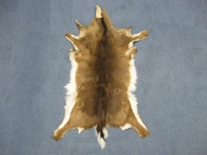 White Tail Deer Hide with Tail: #1: Assorted 