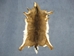 White Tail Deer Hide with Tail: #1: Assorted - 39-01T-AS (Y1H)