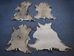 White Tail Deer Hide: #3: Assorted - 39-03-AS
