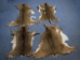 White Tail Deer Hide: #3: Assorted - 39-03-AS (Y1LRC)