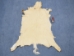 White Tail Deer Hide: Short Hair: Assorted - 39-11-AS (Y1K)