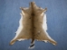 White Tail Deer Hide: Short Hair: Assorted - 39-11-AS (Y1K)