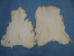 Deerskin Leather: Craft: Cream (sq ft) - 40-02-CR-AS (Y3LRE)