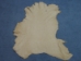 Deerskin Leather: Craft: Cream (sq ft) - 40-02-CR-AS (Y3LRE)