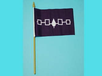 Hiawatha Flag: 4x6" iroquois confederacy