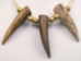 3-Antler Tip Necklace - 404-1153 (Y2KC19)