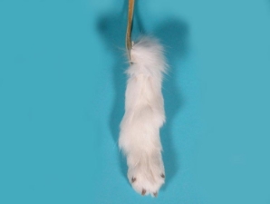 Real Fox Paw Necklace 