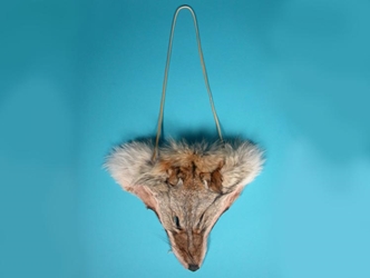 Real Coyote Face Necklace 