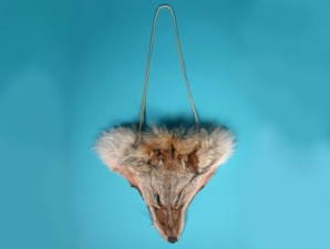 Real Coyote Face Necklace 