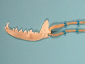 Real Fox Jaw Necklace 