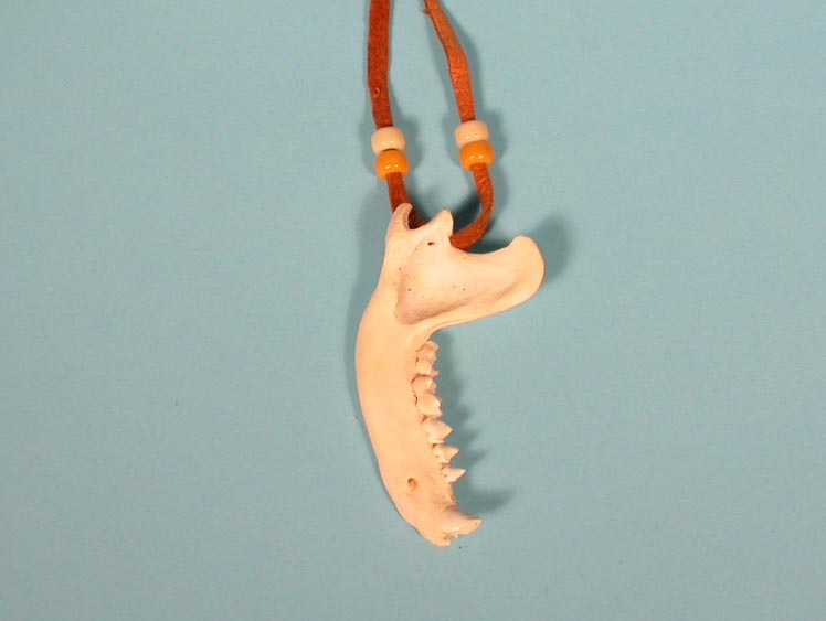 Real Raccoon Jaw Necklace 
