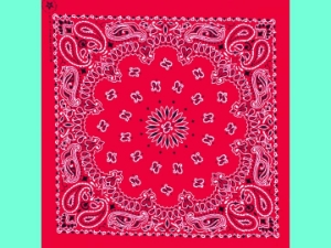 Red Paisley Bandana bandannas