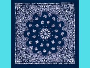 Navy Paisley Bandana bandannas
