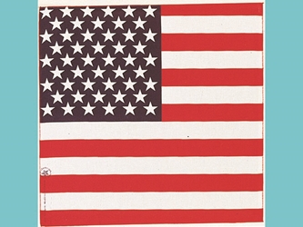 U.S. Flag Bandana bandannas