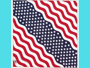 Stars & Stripes Bandana bandannas