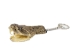 Rattlesnake Head Keychain: Mouth Partially Open - 42-30 (Y1EC01)