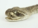 Rattlesnake Head Keychain: Mouth Closed - 42-30C (Y2JC04)