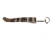 Rattlesnake Rattle and Tail Keychain - 42-31T (Y1EC01)