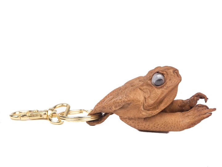C15 Large Lucky Cane Toad 1019-30L-NA Accessoires Sleutelhangers & Keycords Sleutelhangers 