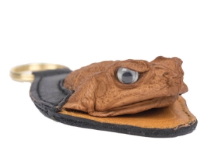 Cane Toad Keychain B 