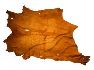 Elk Leather: #2: Saddle Tan (sq ft) 